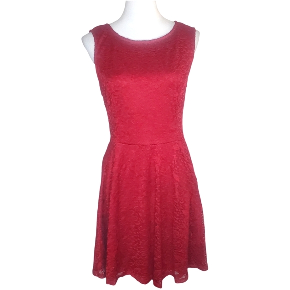 City Triangles Plus Size Lace Roses Overlay Fully Lined Dress - Picture 2 of 8